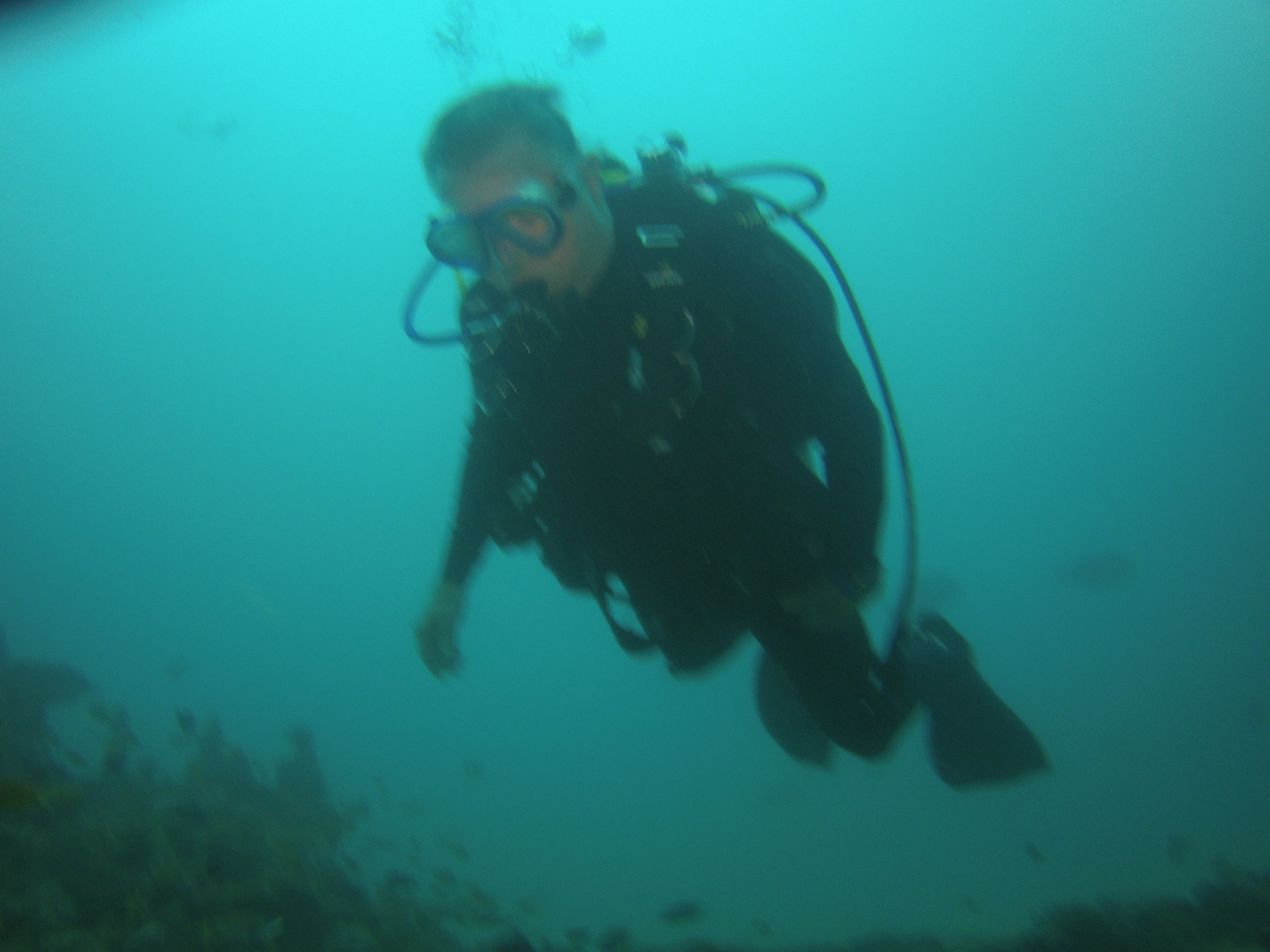 AMBA0092.jpg