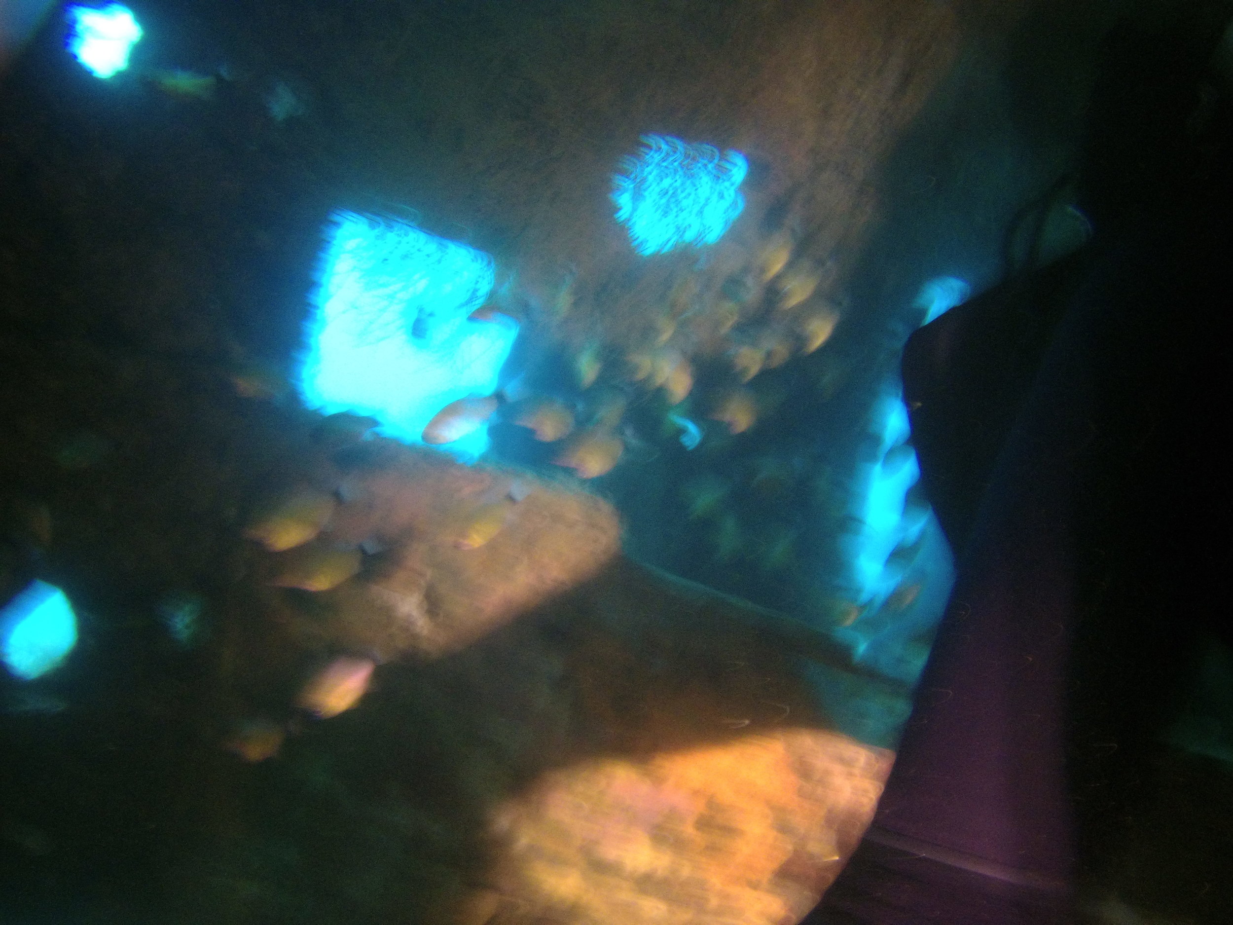 AMBA0147.jpg