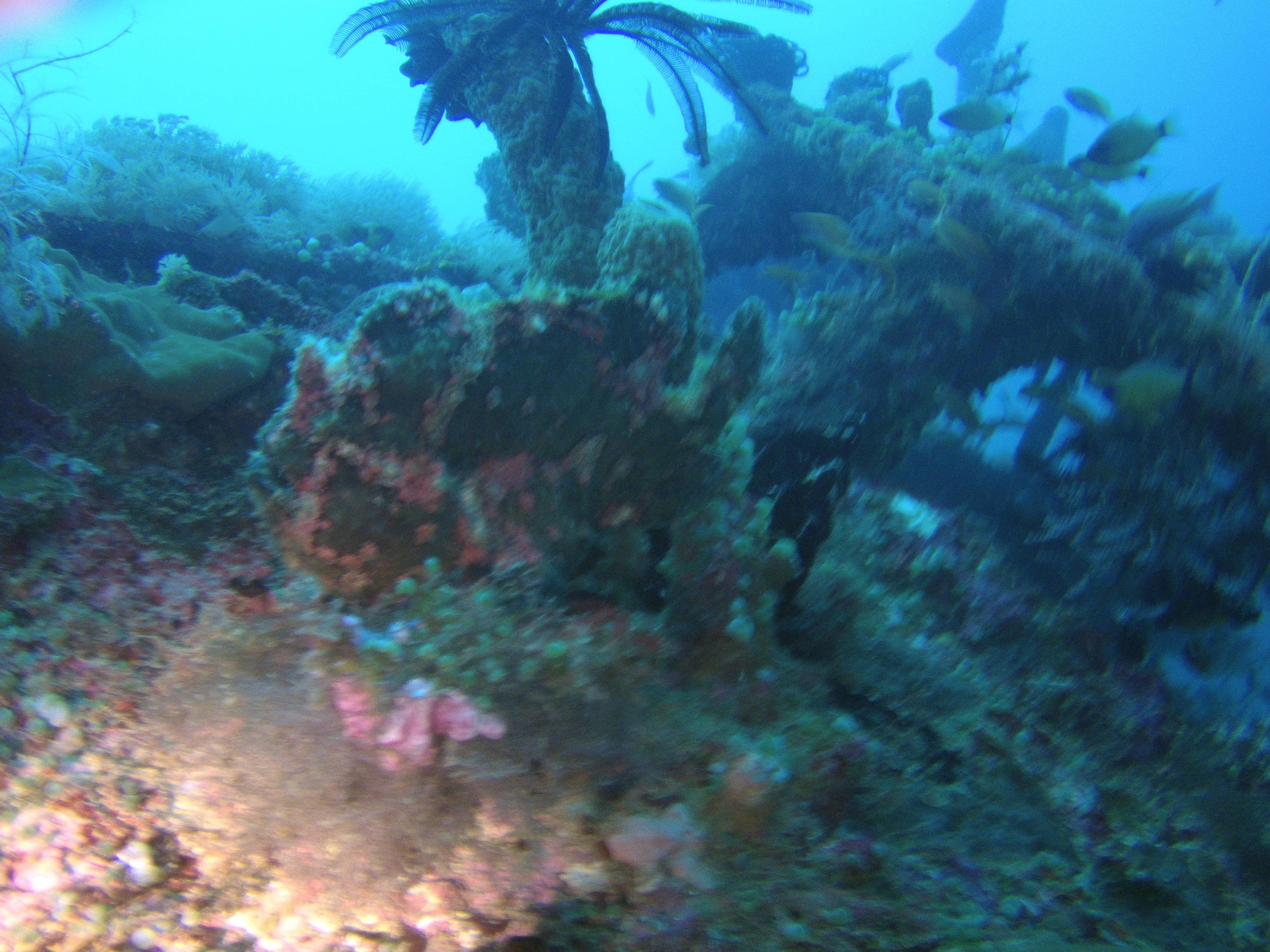AMBA0165.jpg