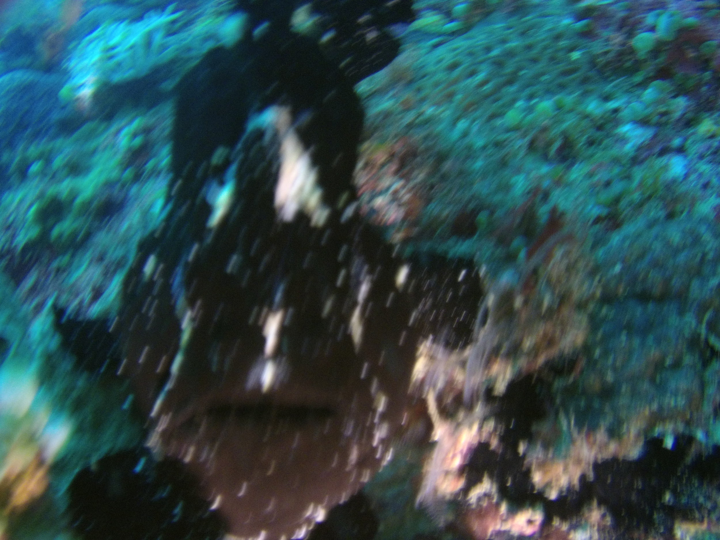 AMBA0173.jpg