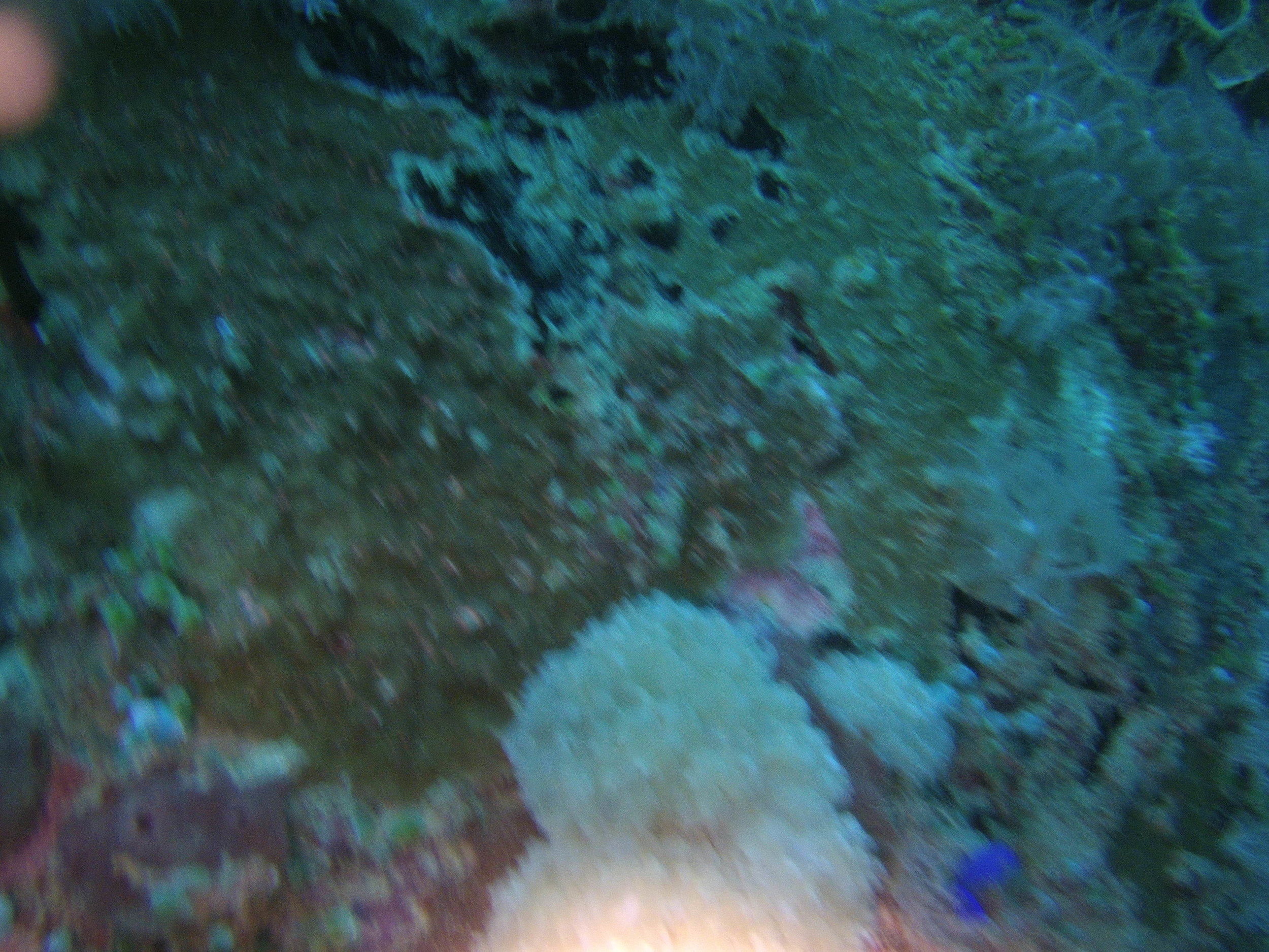 AMBA0177.jpg
