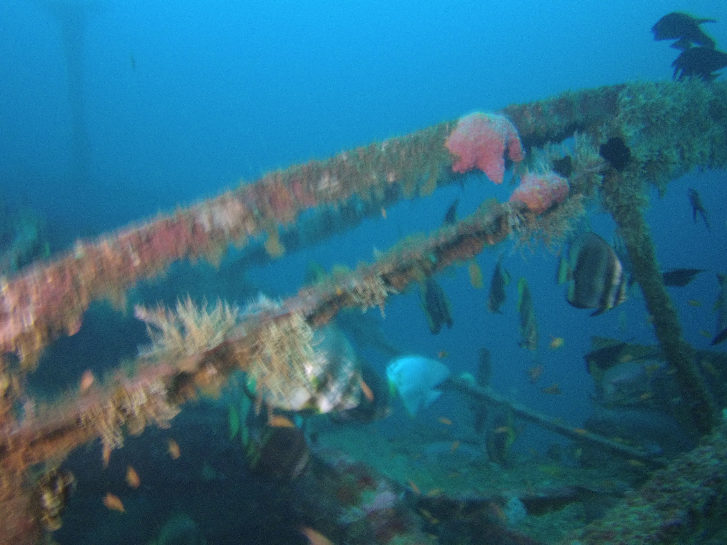AMBA0263.jpg