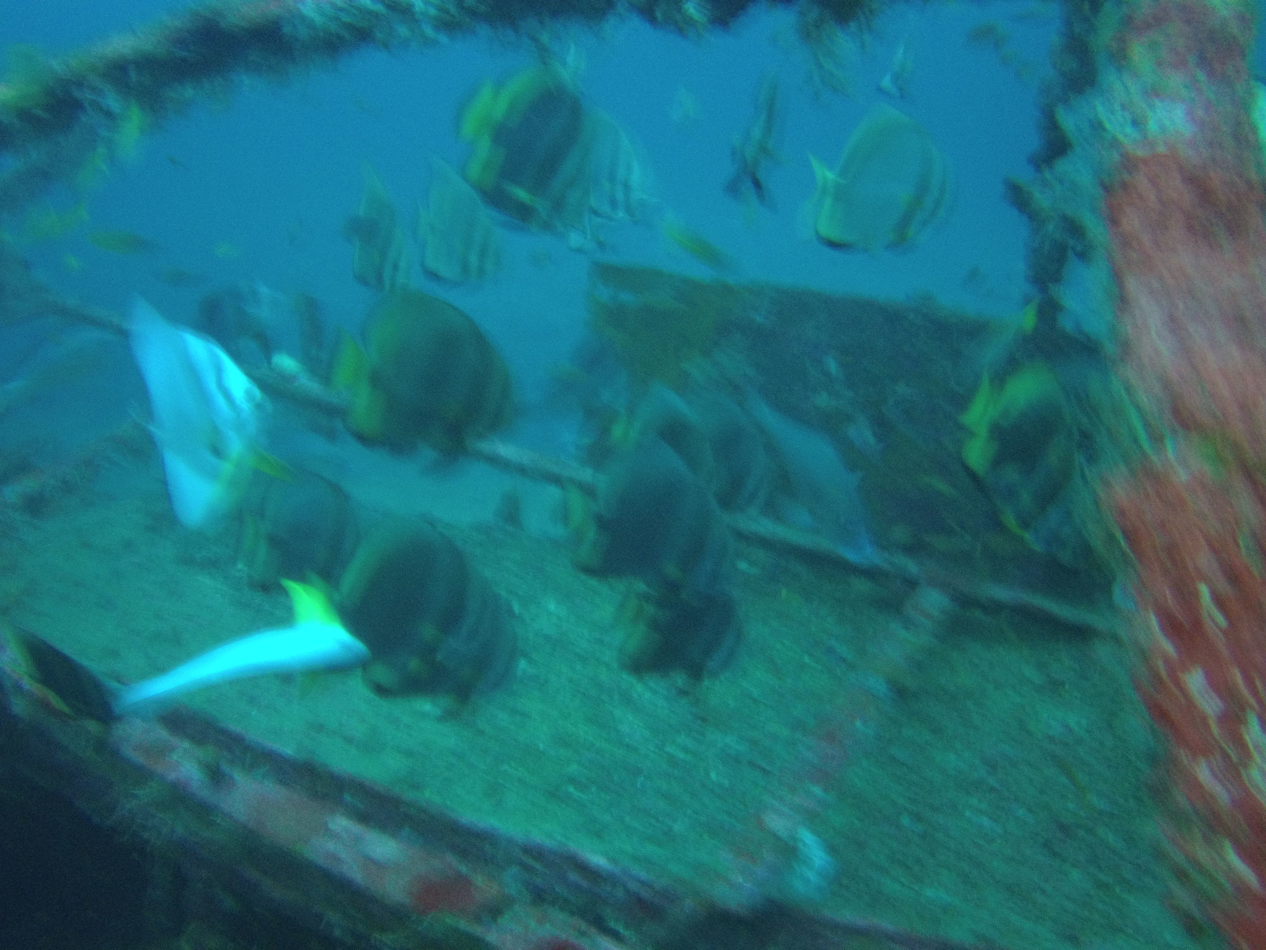AMBA0266.jpg