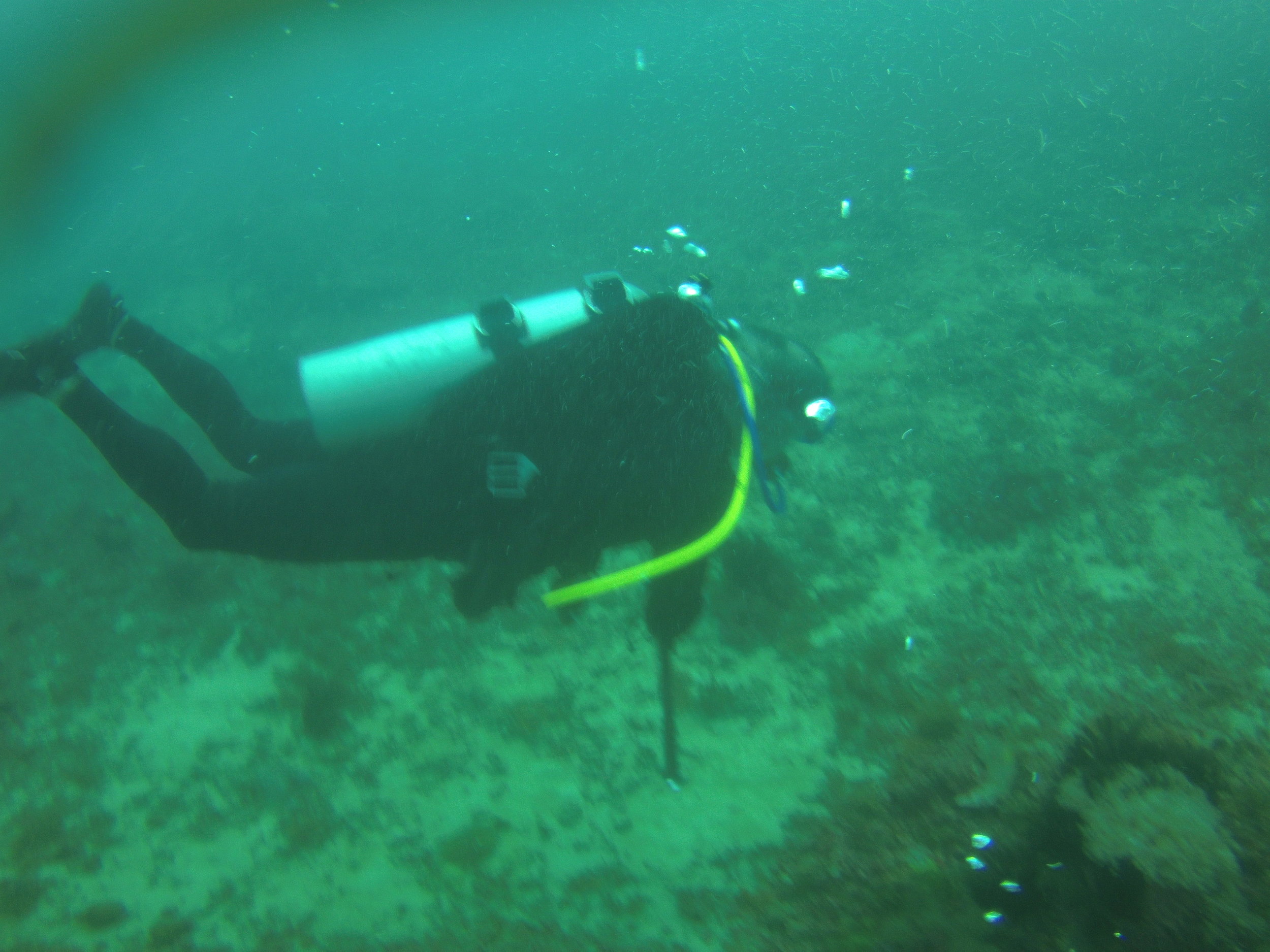 AMBA0284.jpg
