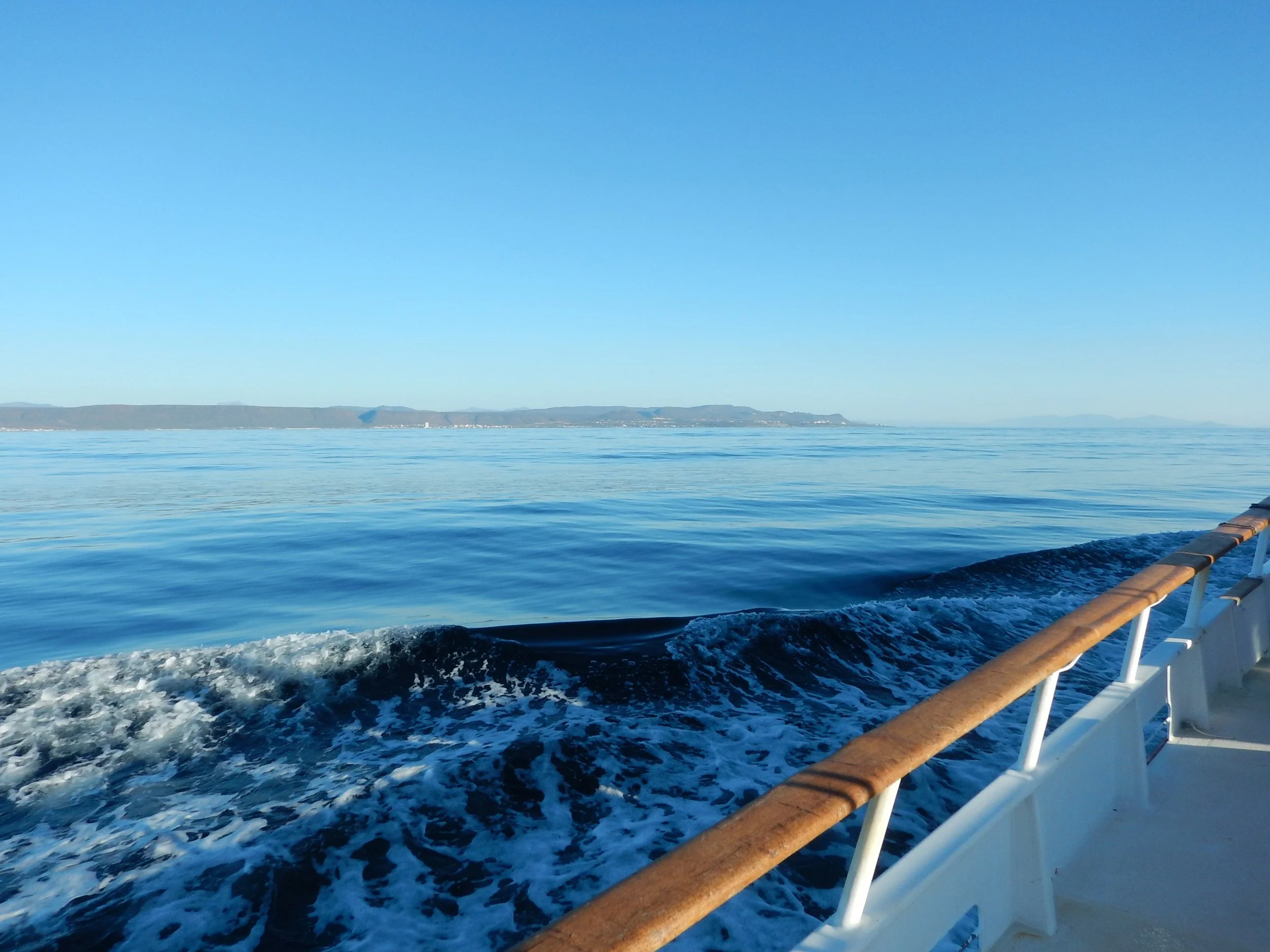 2016 — Rice Bowl Charters