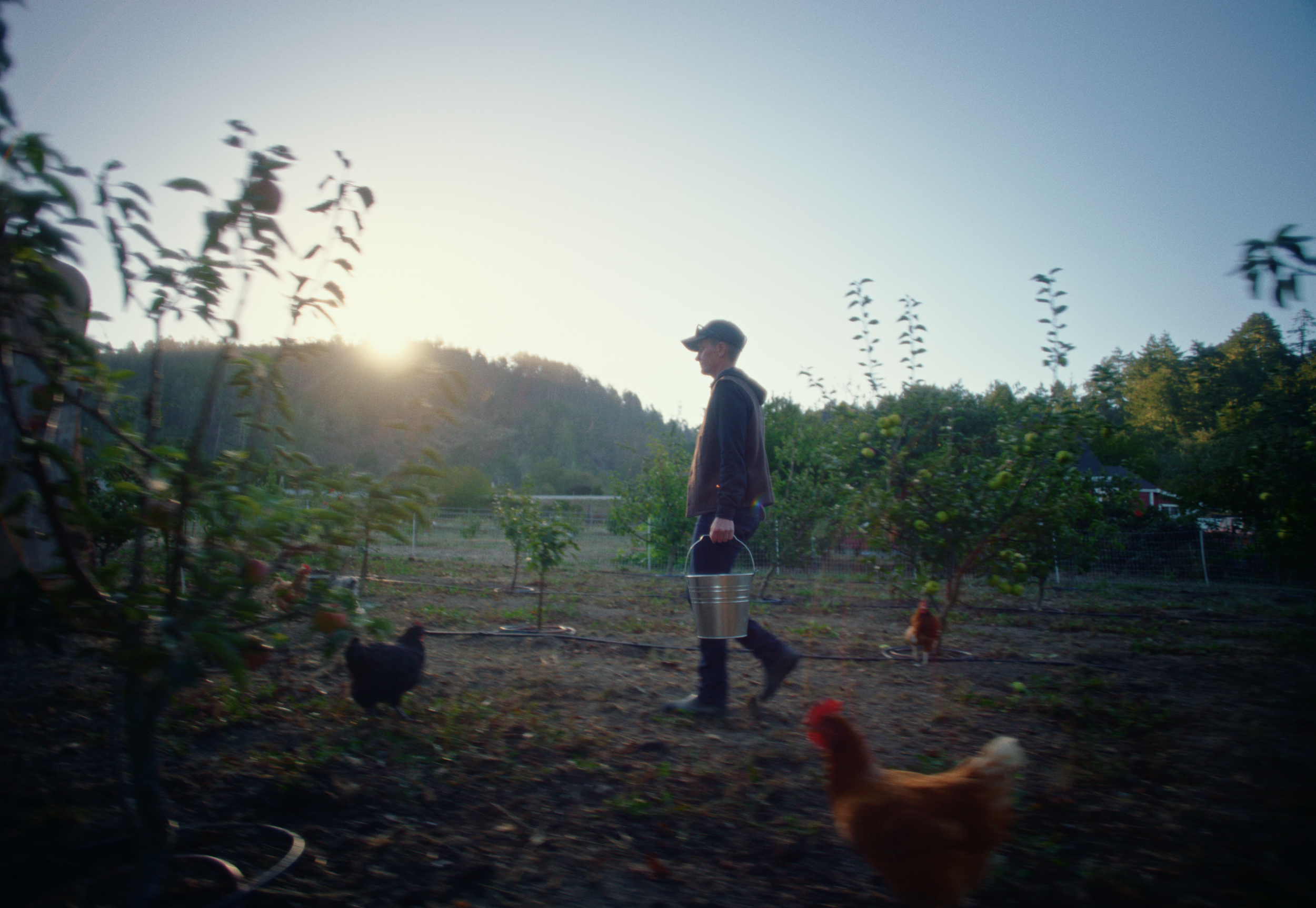 Screenshot 2025-10-19 at 3.49.37 PM.png