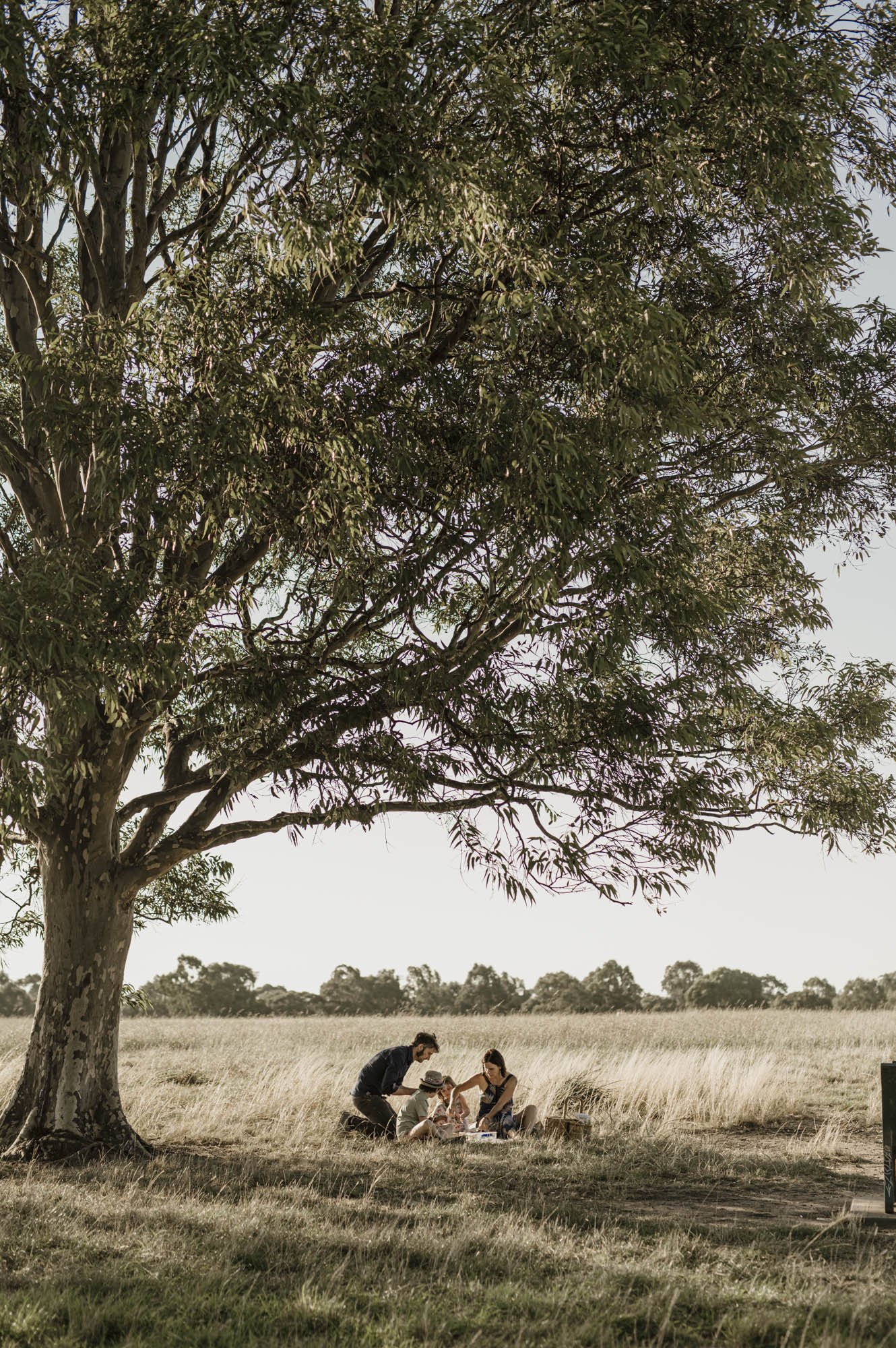 family photography session in melbourne The Fitzroys Photography-34.jpg