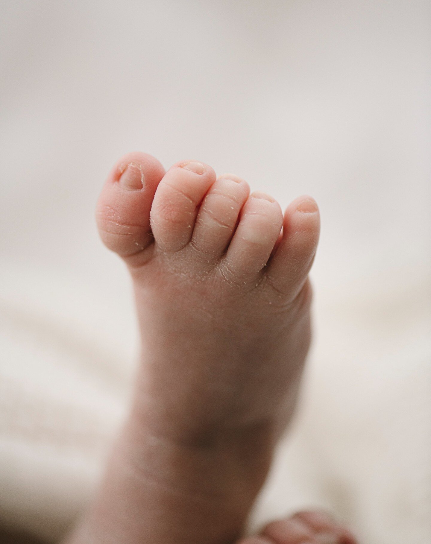 Oh man, baby toes ❤️ Documented so you can adore!

#dearphotographer
#livethelittlethings 
#our_everyday_moments 
#letthembelittle