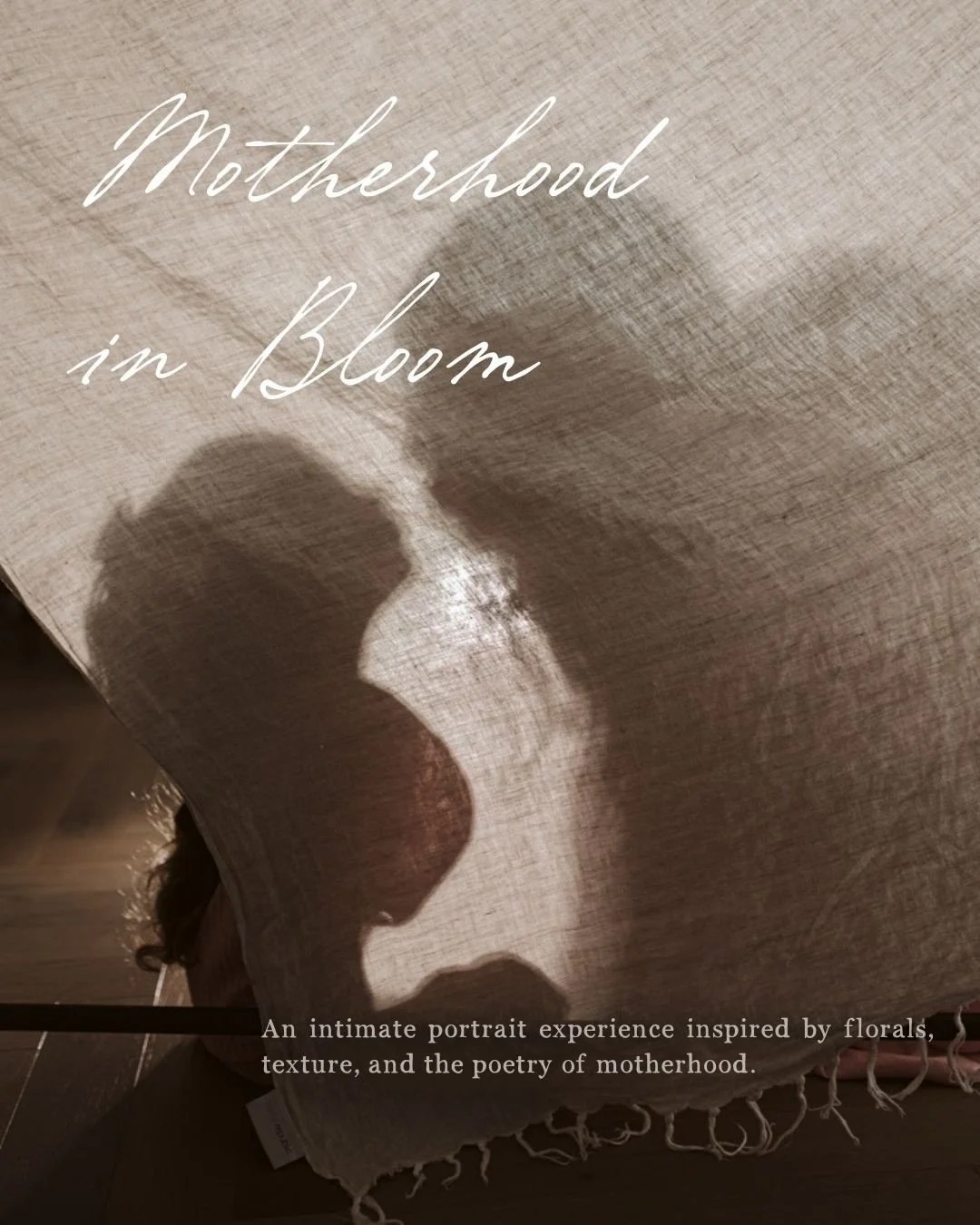 Motherhood in Bloom 🌻🍂
An intimate portrait experience inspired by florals, texture, and the poetry of motherhood.

This idea has been on my heart for a little while now, and if you know me, you know how deeply I adore photographing mums. So I&rsqu