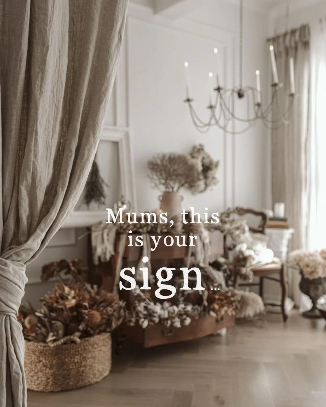 This year, I felt called to slow things down.

Motherhood moves quickly enough as it is, so these sessions have been designed with more space, more calm, and greater intention. A quieter, more considered experience for both of us.

Each session is 35