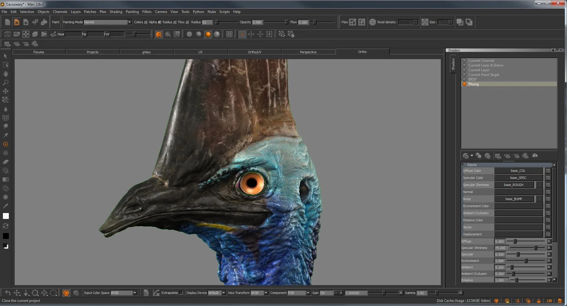 cassowary_17_03_15_2.jpg