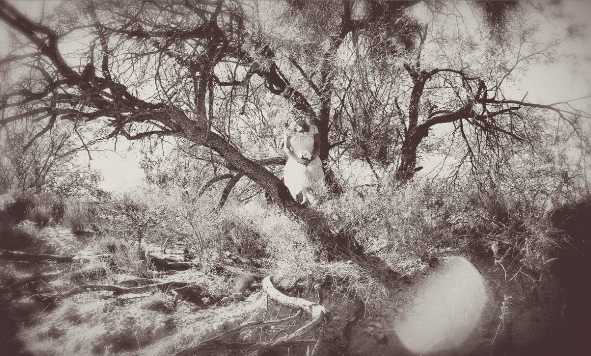meganmichelletree.png