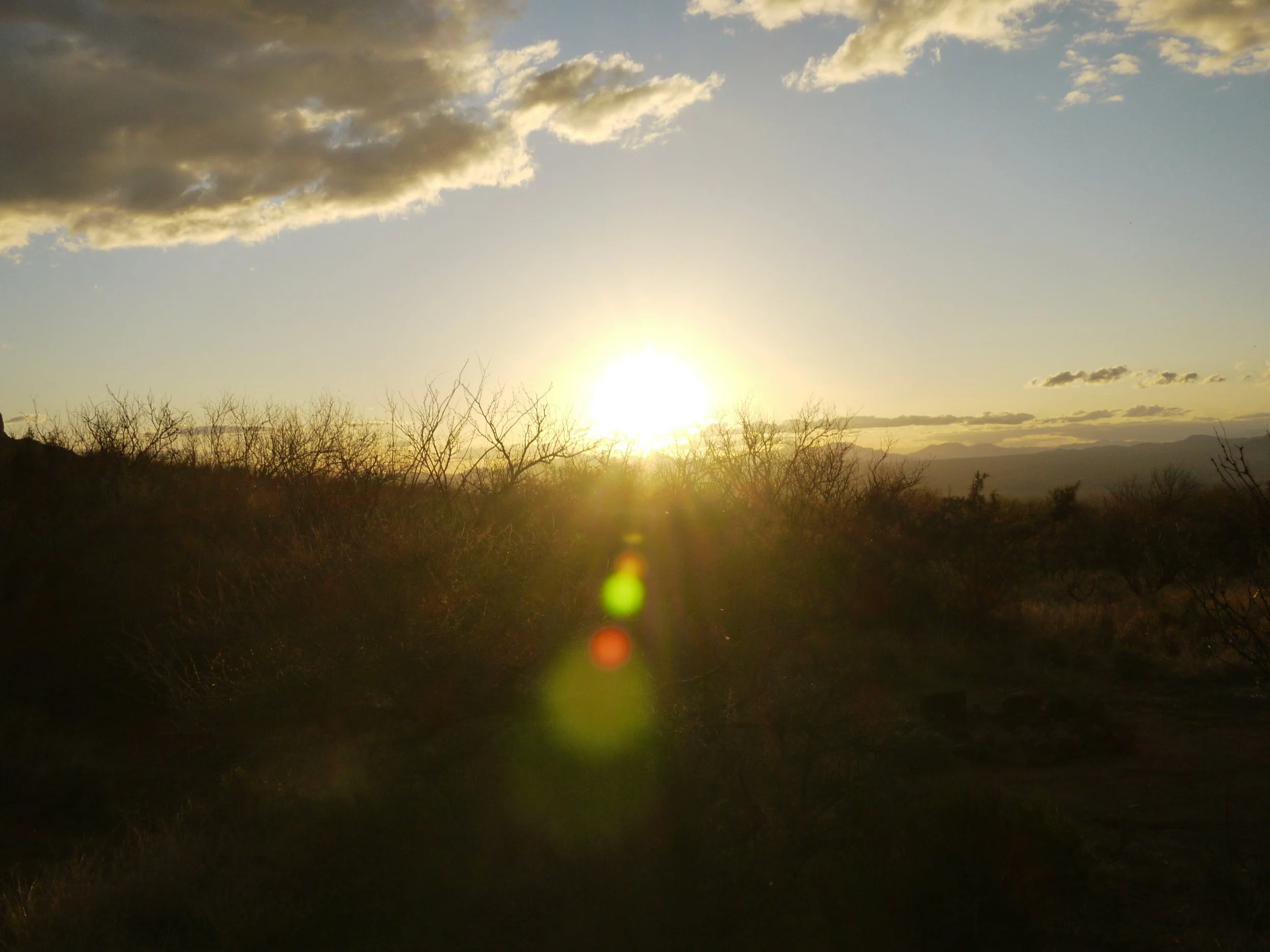 P1080005.JPG