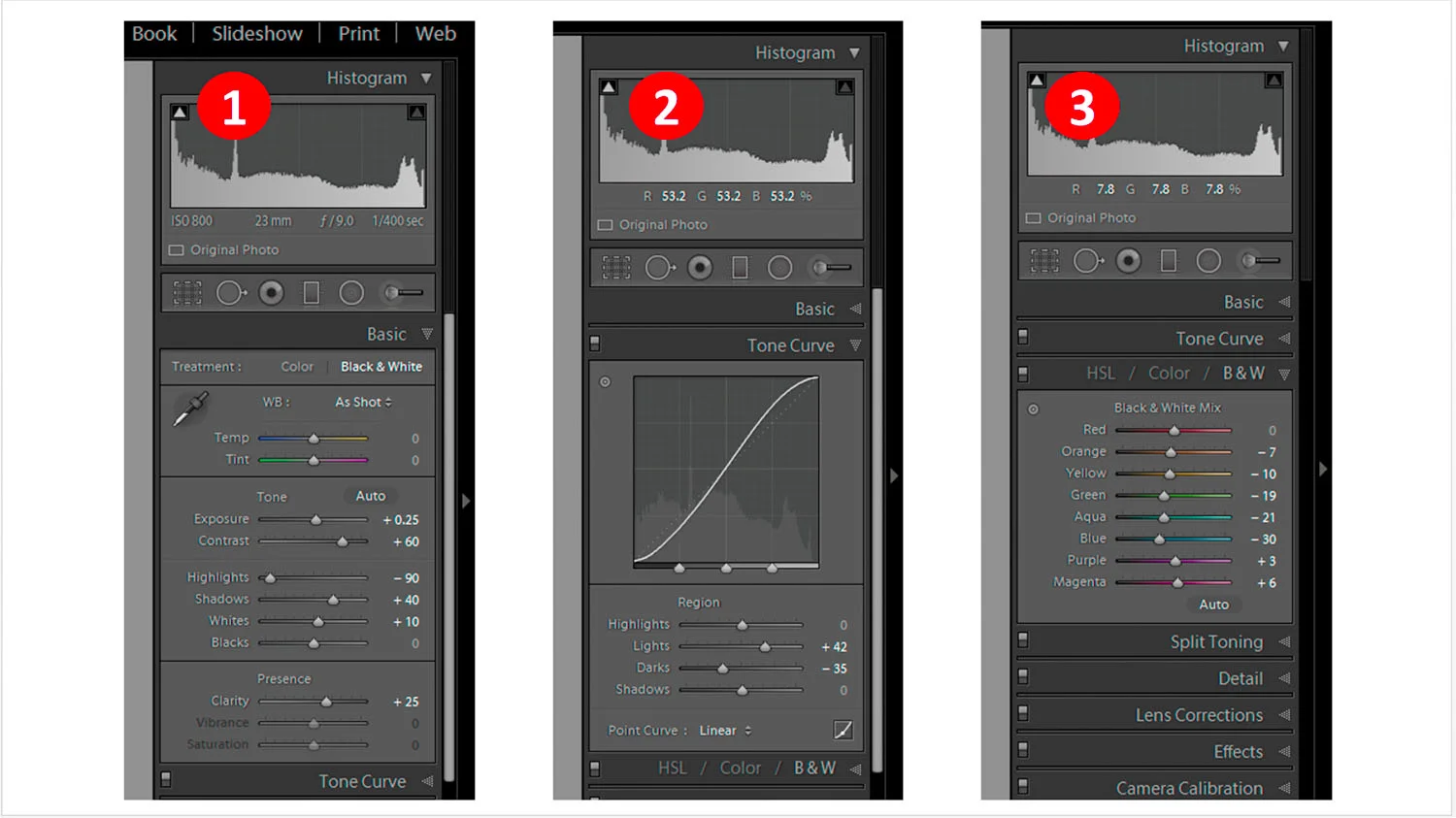 Improve your image by changing sliders in Basic, Tone Curve and B&W tabs !
