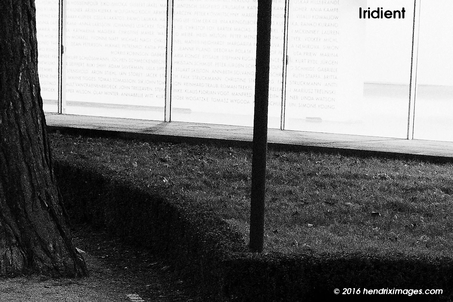 museum venue iridient crop.jpg