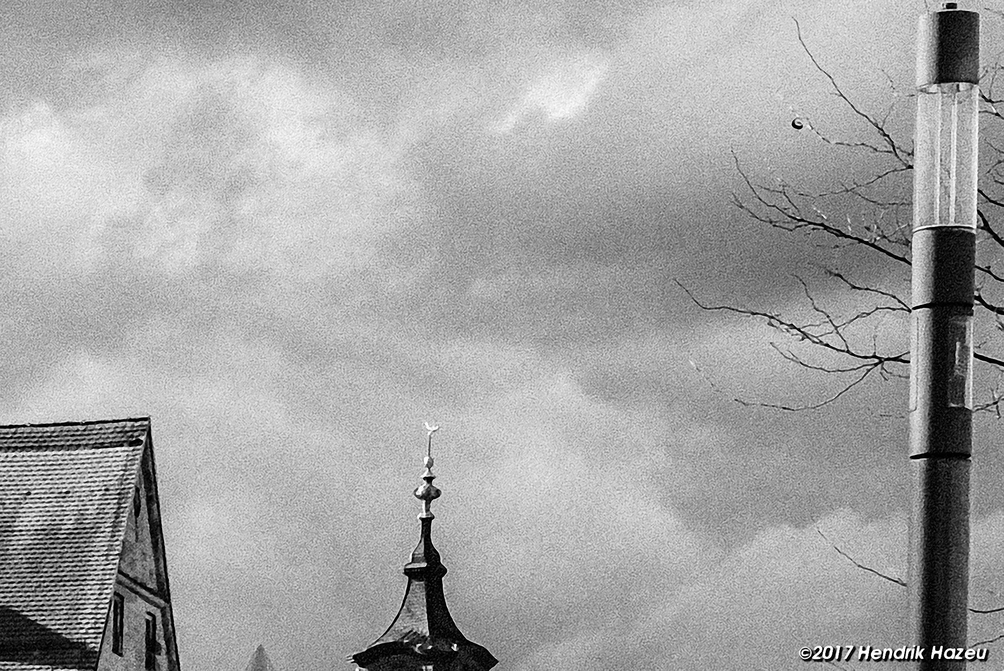 ISO 2000, Mono-R, Lo Grain