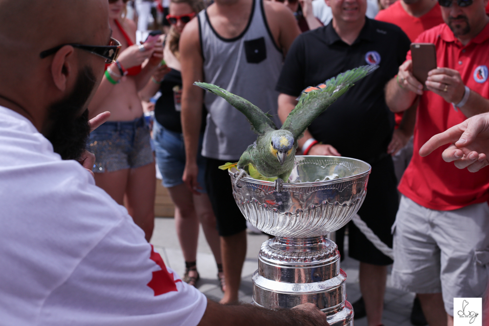 blackhawks toronto stanley cup party 2015-0126.jpg