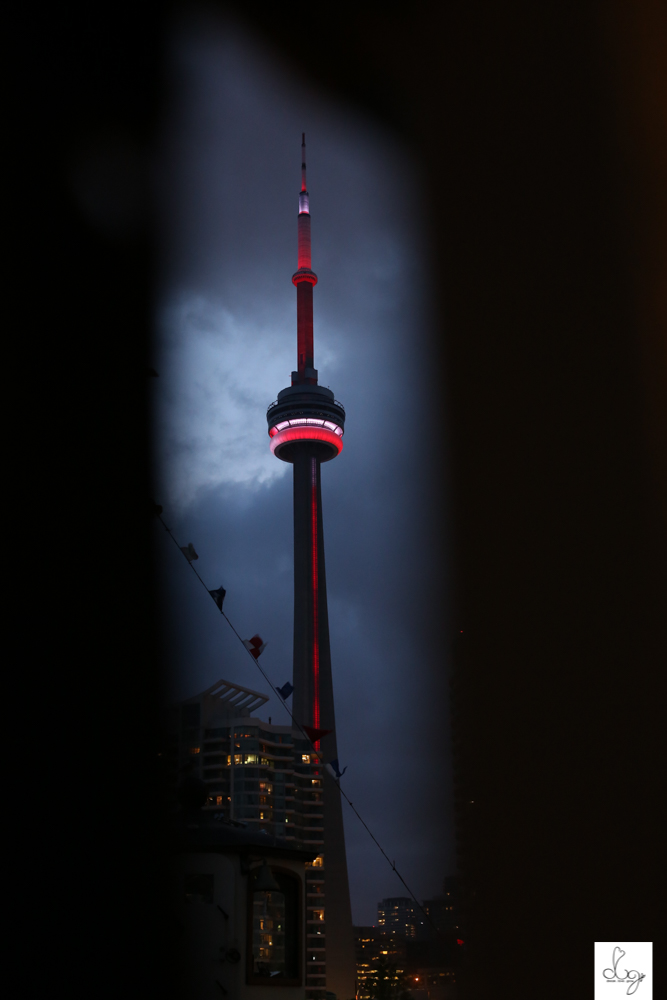 blackhawks toronto stanley cup party 2015-0454.jpg