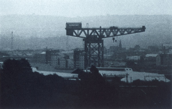 Crane, photopolymer gravure