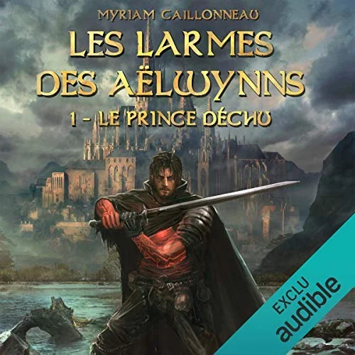 Les Larmes des Aëlwynns - Tome 1 - Le Prince déchu