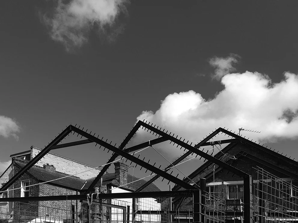 170908_Nesting Progress 3.jpg