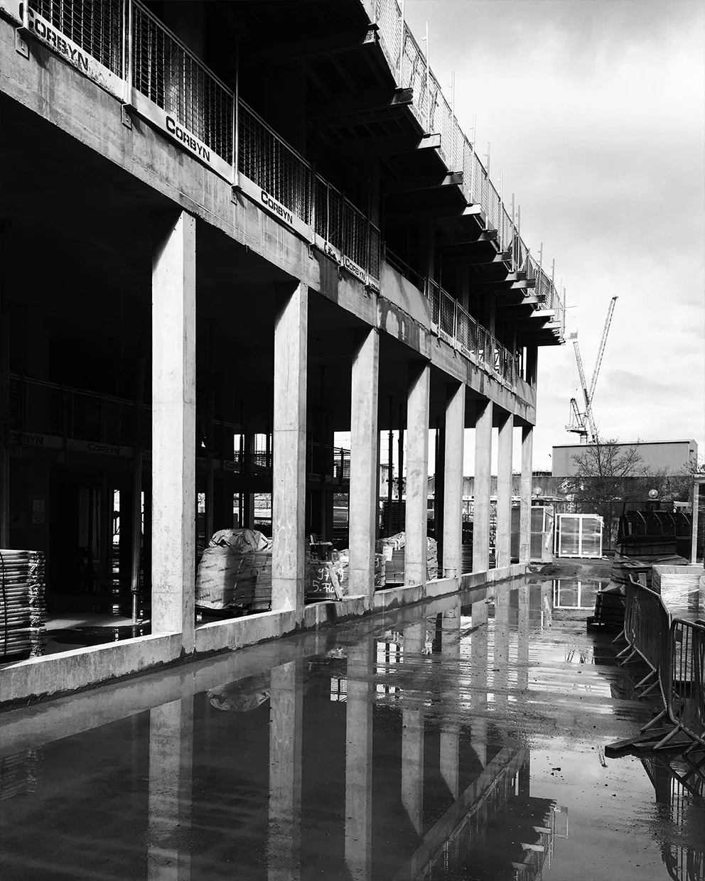 180420_FISH2.jpg