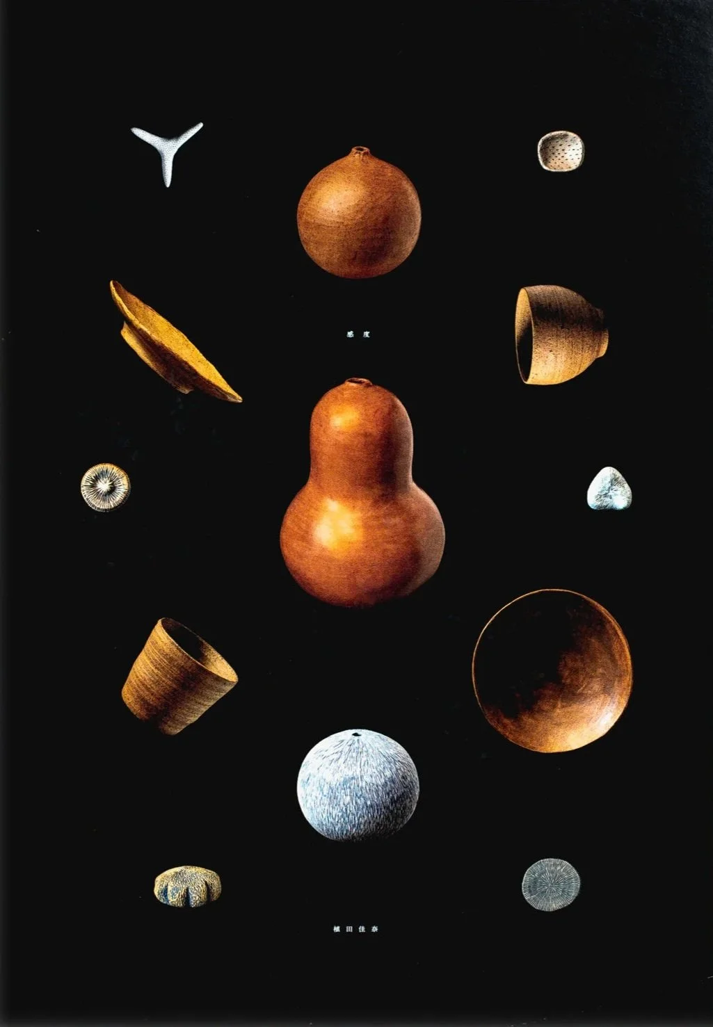 5D4A6746.jpg