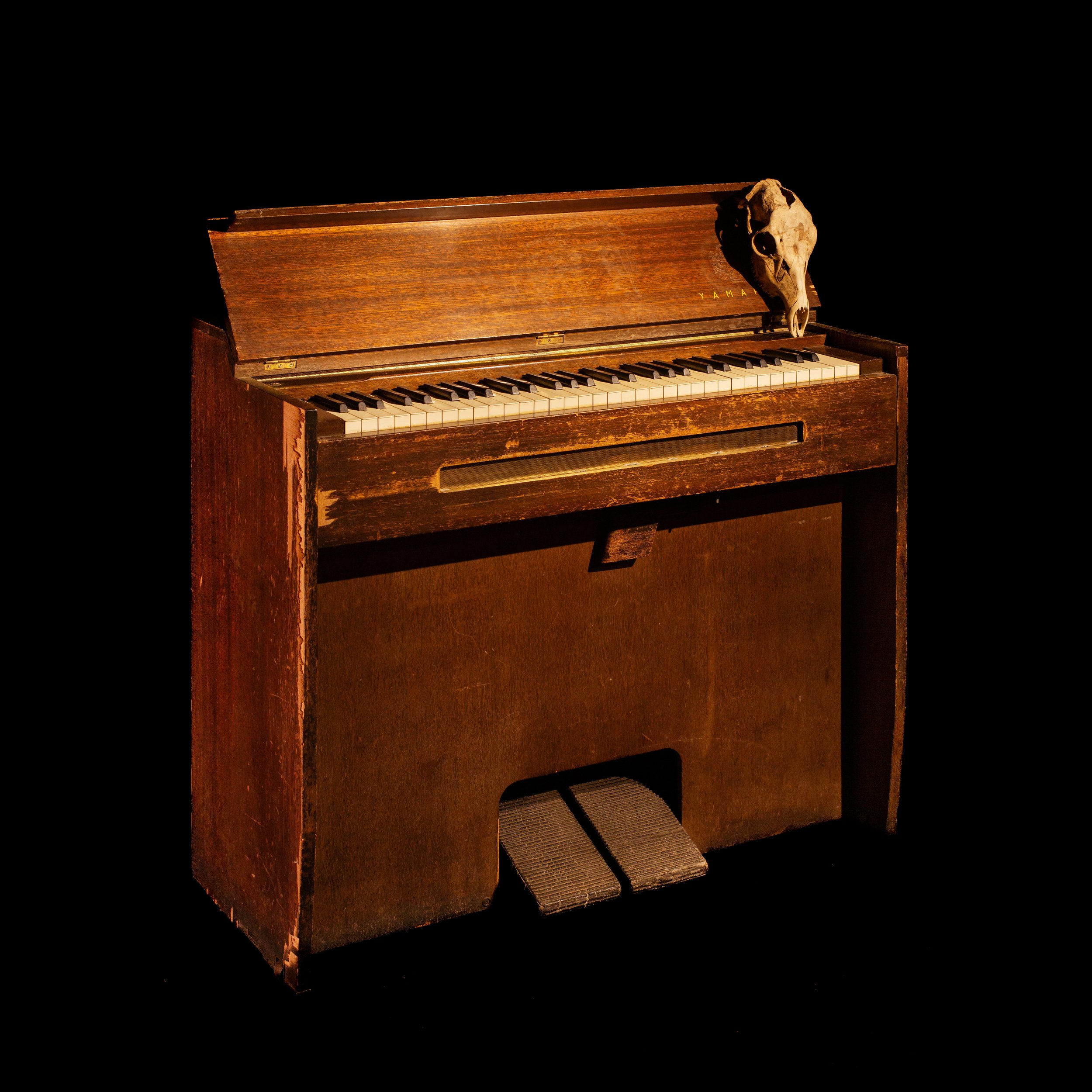 variations_organ.jpg