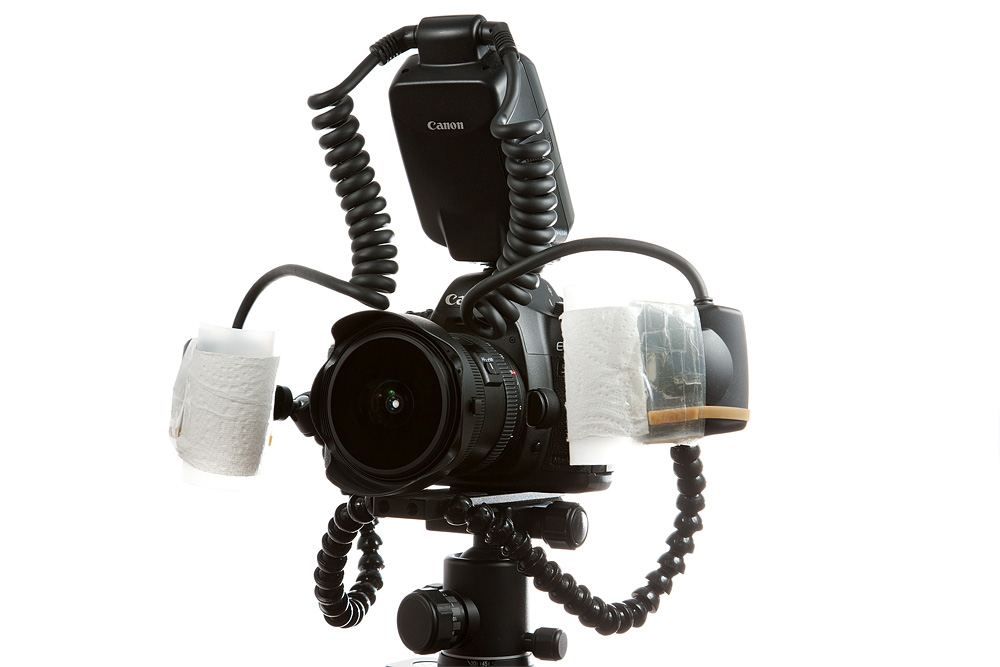 Fisheye lens with macro twin lite and diffusers