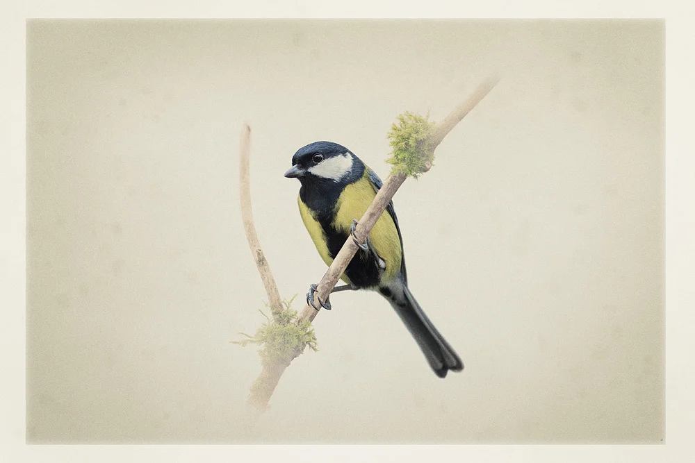 art_card_greattit.jpg