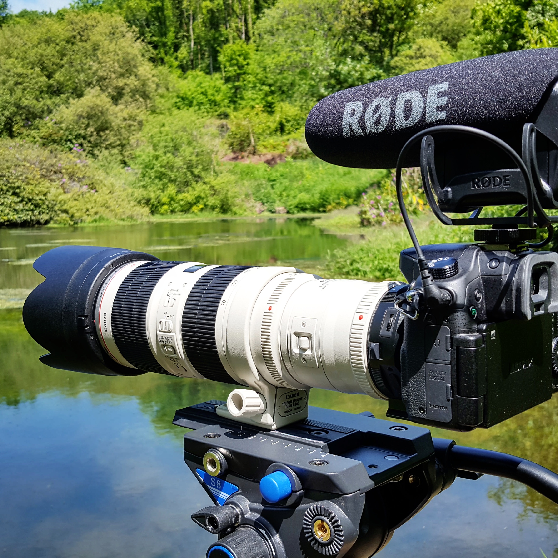 GH4 with canon 70-200mm and 2x converter