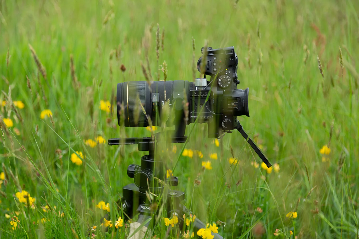 gh5_low_angle.jpg