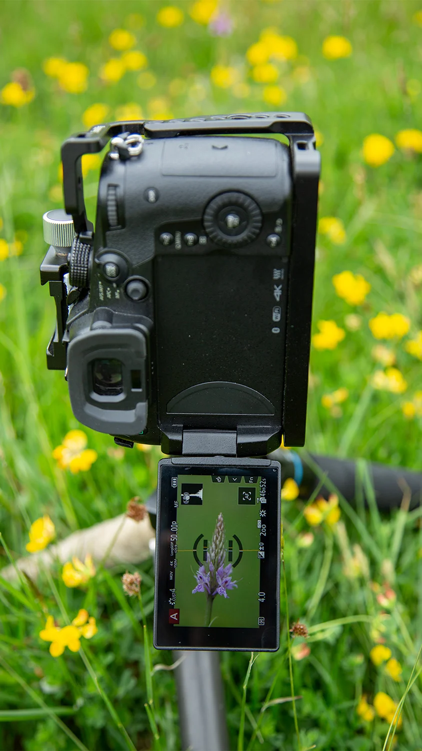 gh5_flip_out.jpg