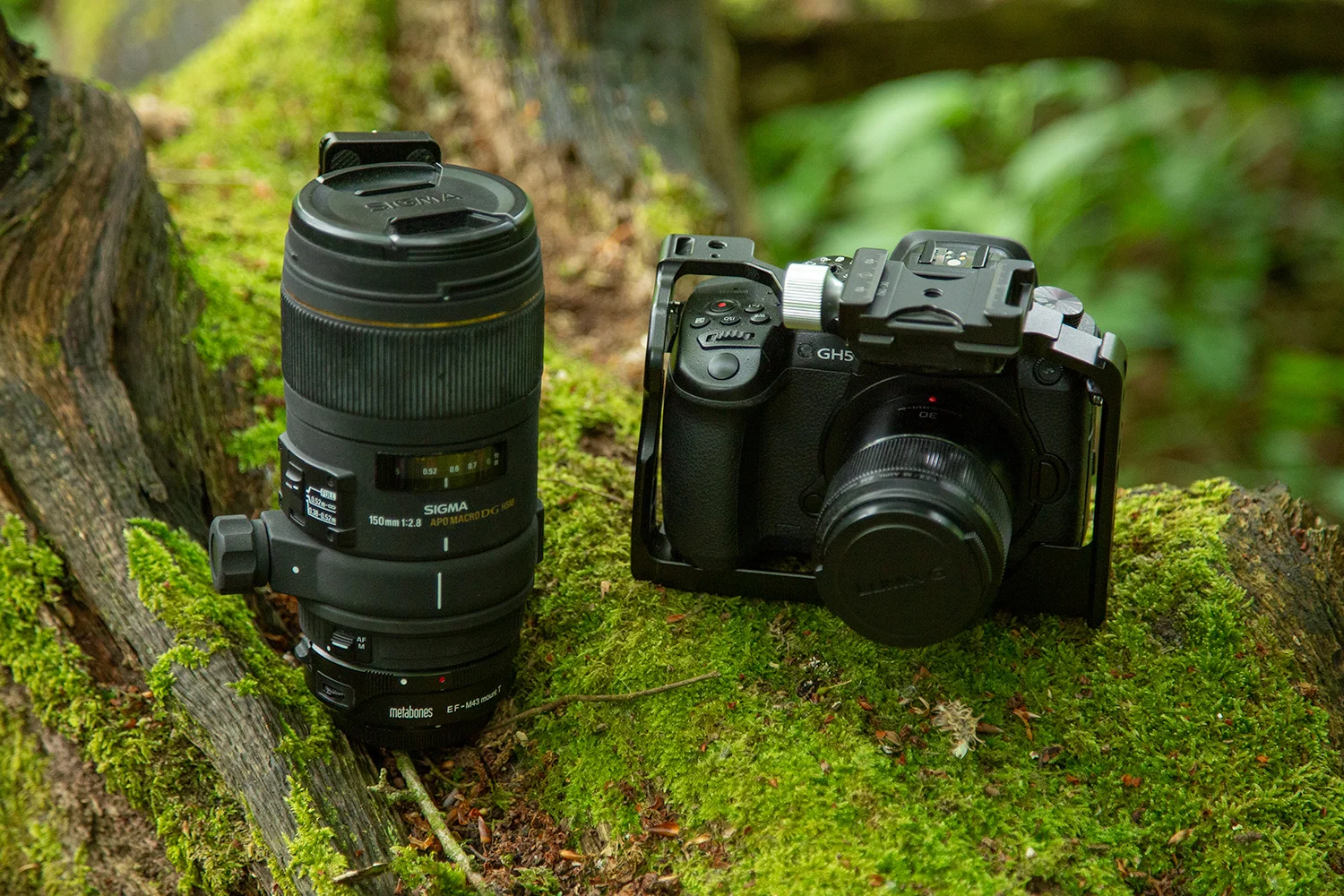 gh5_macro.jpg