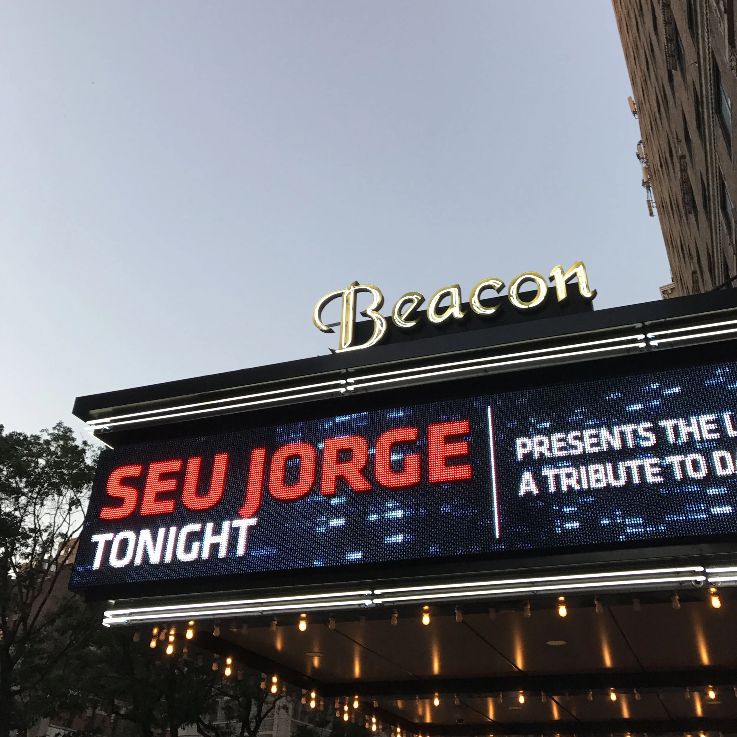 SEU JORGE, "A LIFE AQUATIC" TRIBUTE TO DAVID BOWIE