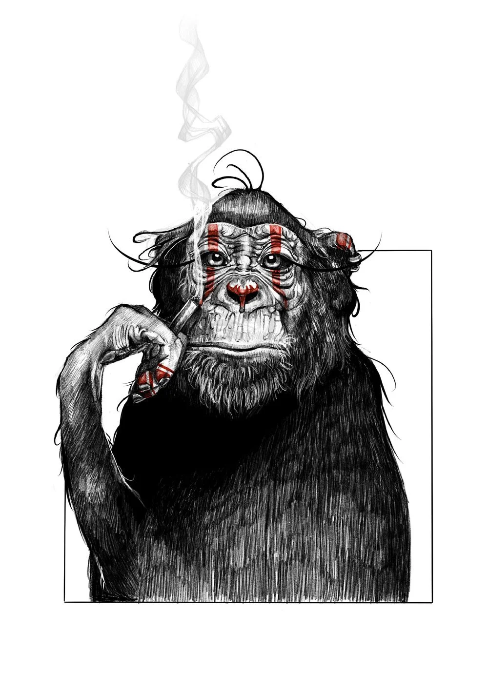 Monkey.jpg