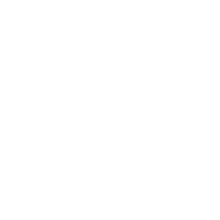 AerLingus.png