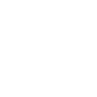 WHITE-LOGOS---_0031_TOYOTA.png