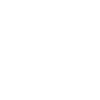 LOGO--_0039_LEINSTER.png