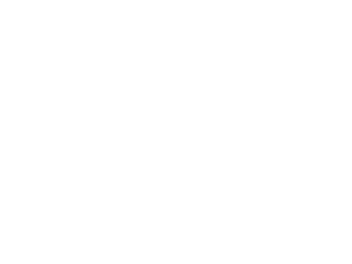 VW logo white.png