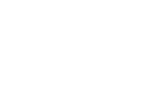 Gymnastics Ireland box logo.png