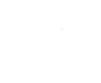 rowing ireland logo white.png