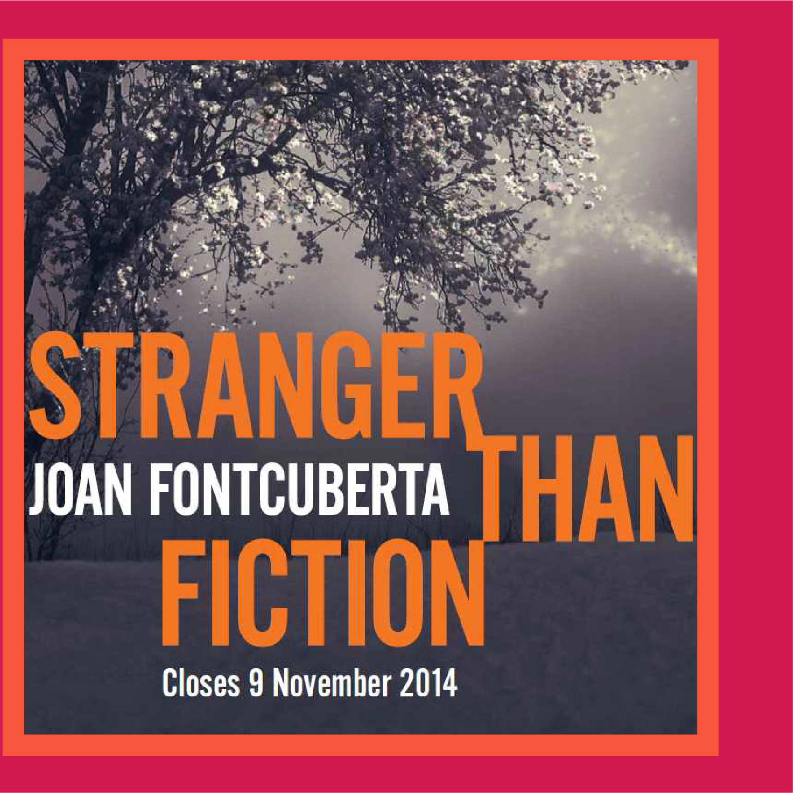 FILMS, BOOKS &amp; EDITIONS 