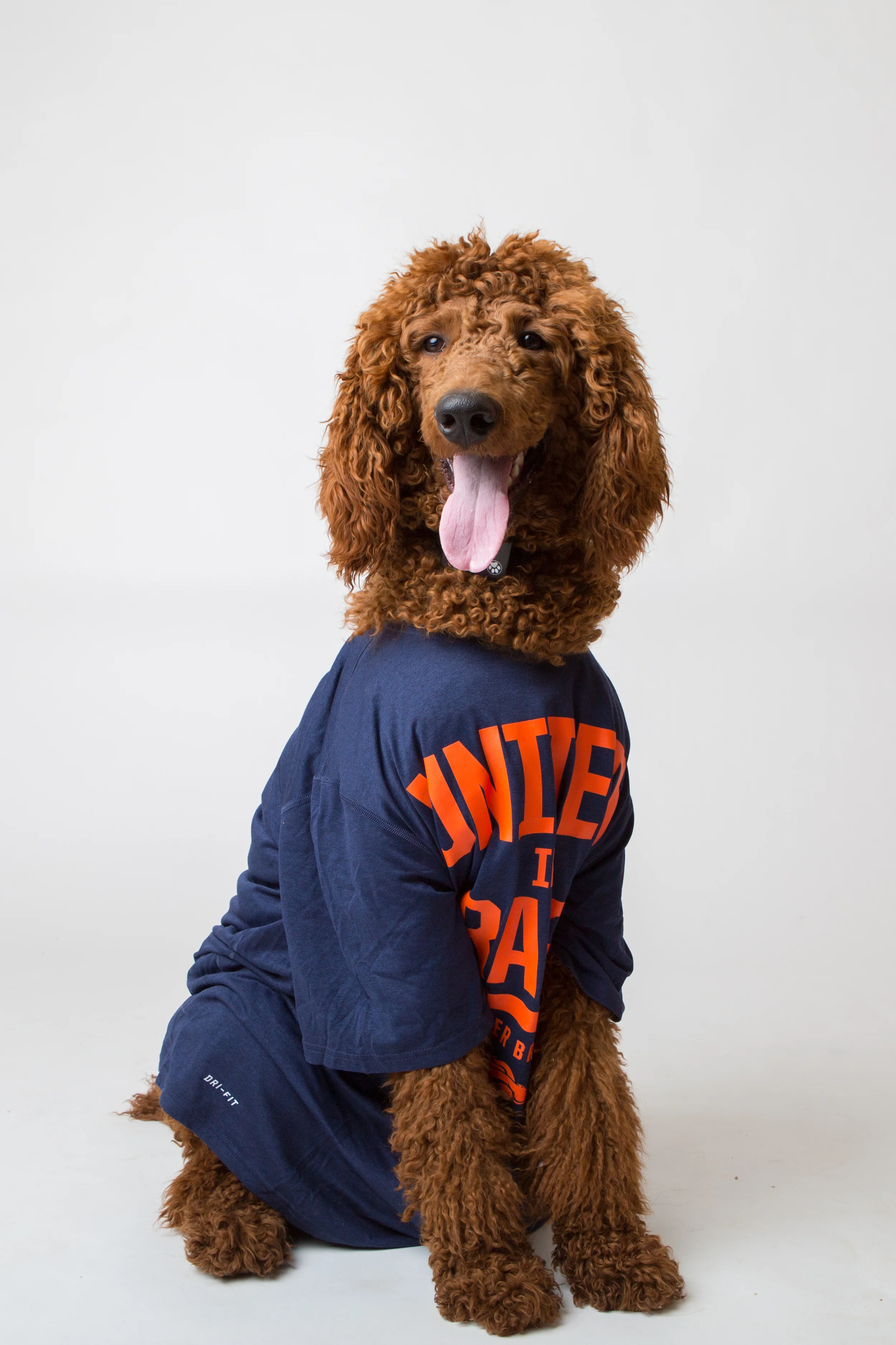 Puppybowl-72.jpg