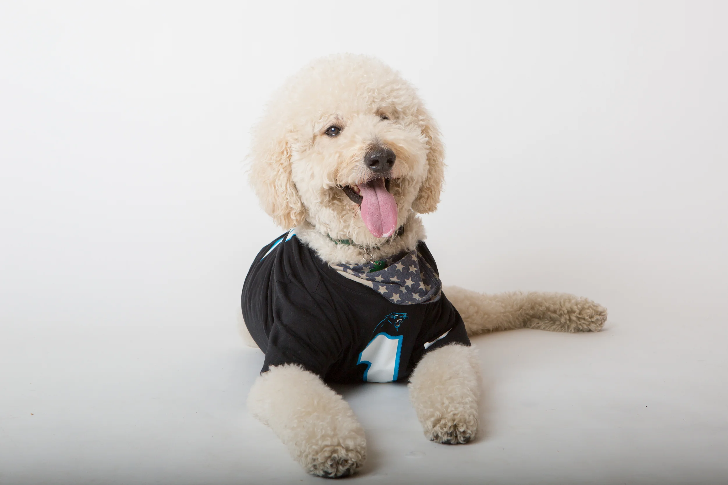 Puppybowl-84.jpg