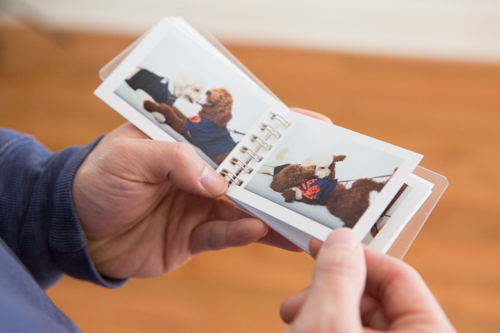 Preferred Partners with Prestige Pet Conceirge!