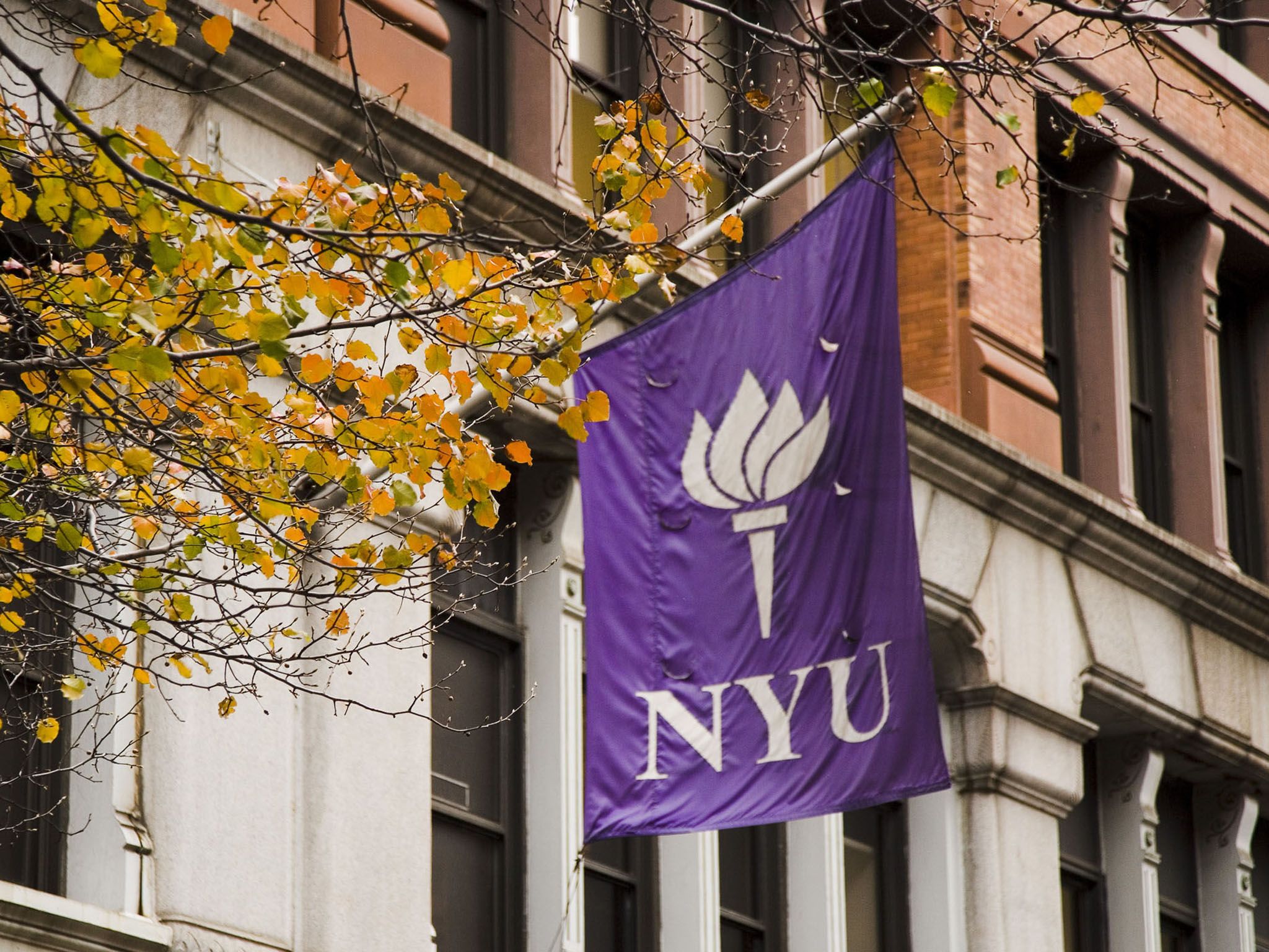 New-York-University.jpg