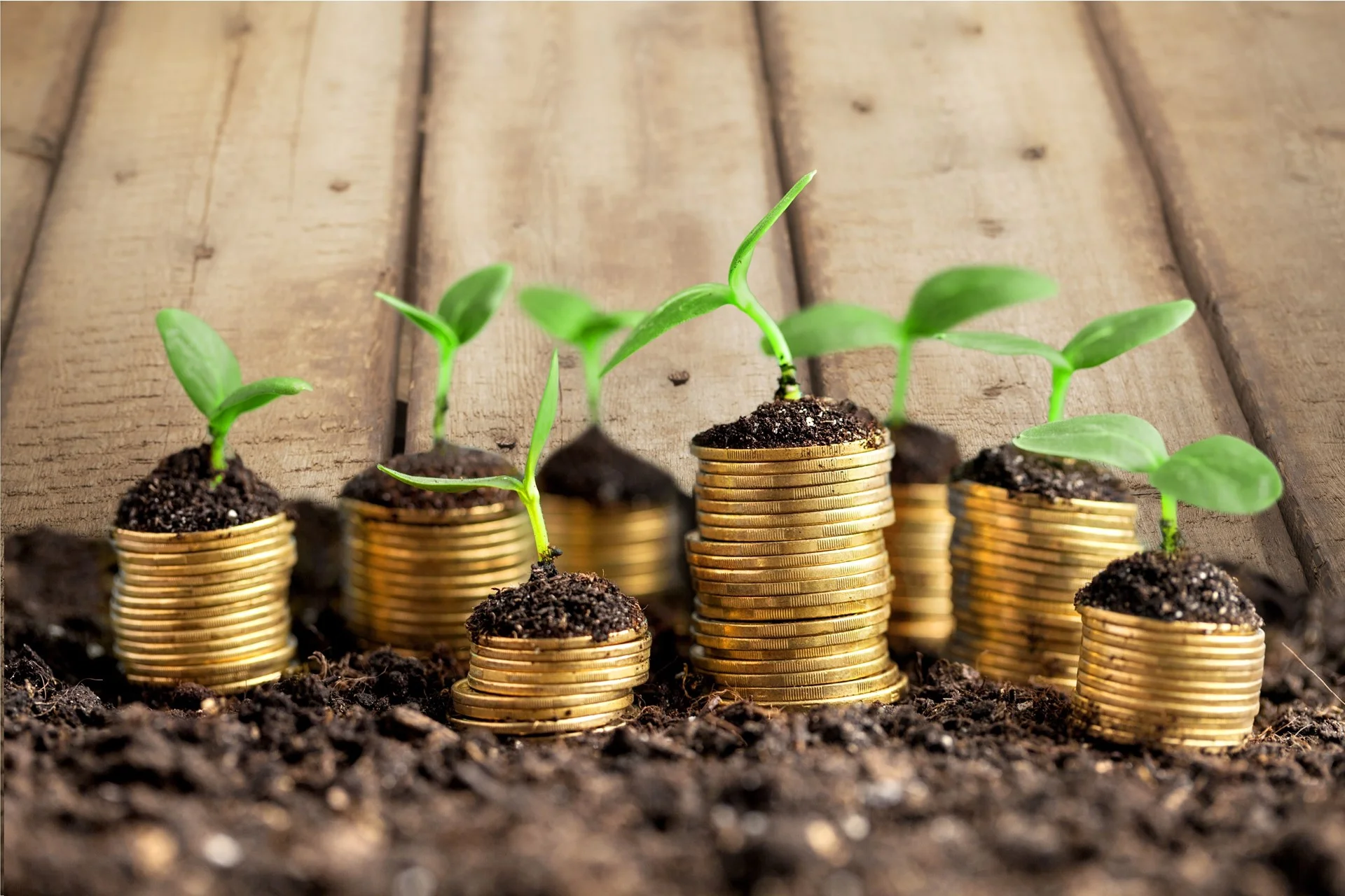wealthgrowing.jpg