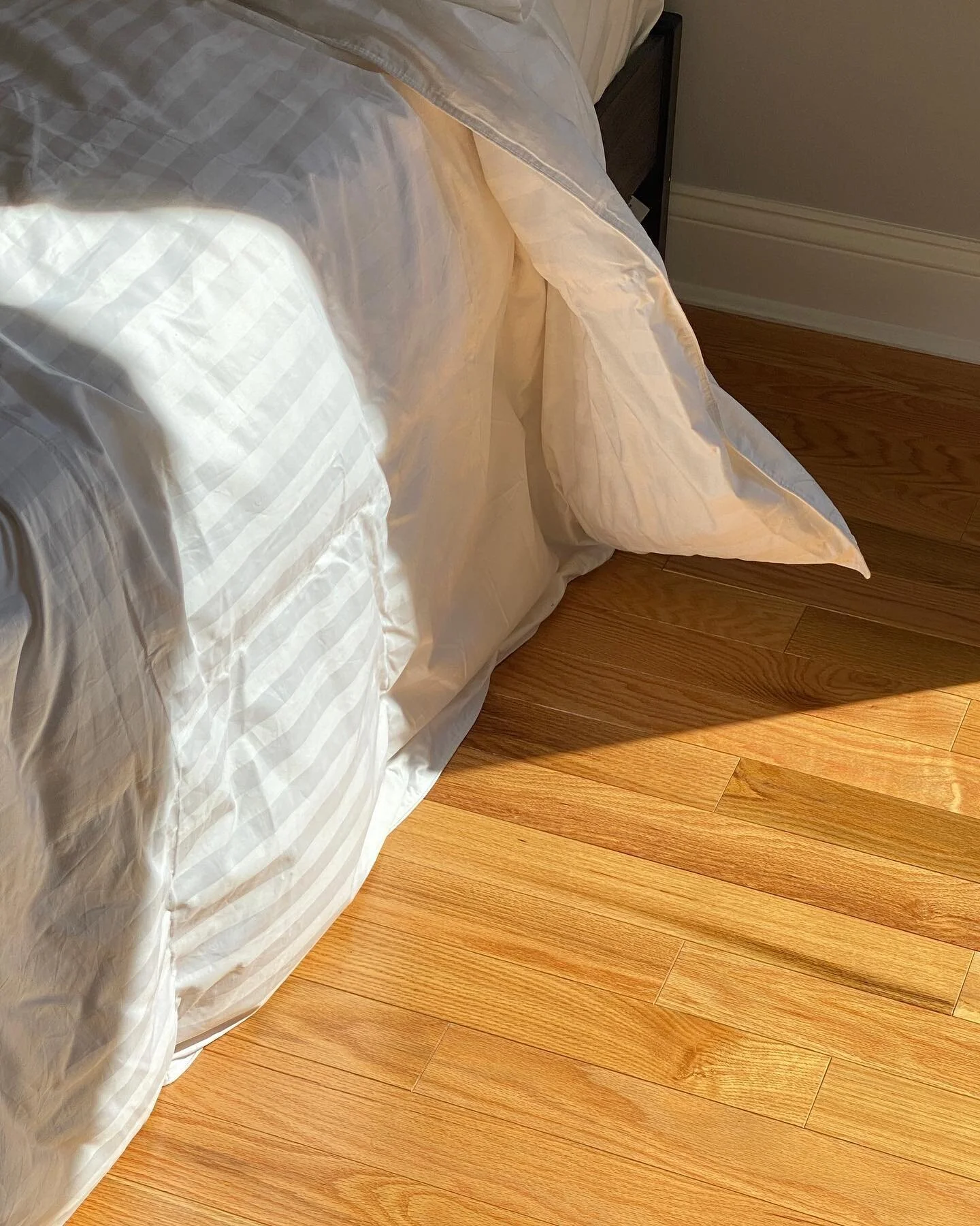 Sun rays to start the day ☀️