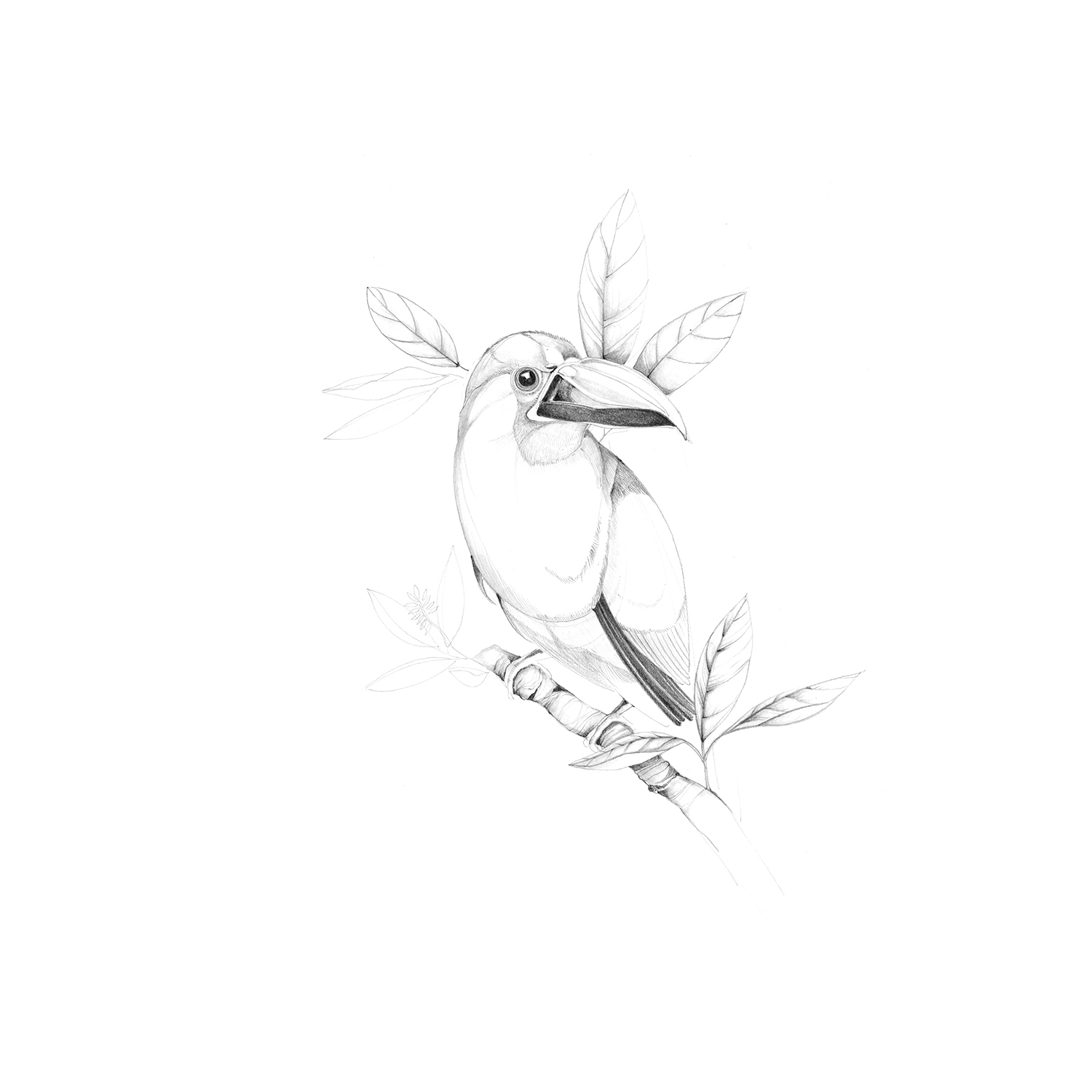 Toucan-pencil-etsy.jpg